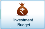 Investment Budget
